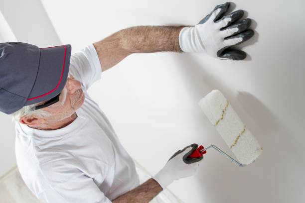 Best Water Damage & Mold Remediation  in Essex, MD