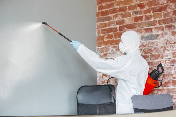 Best Biohazard Mold Removal  in Essex, MD
