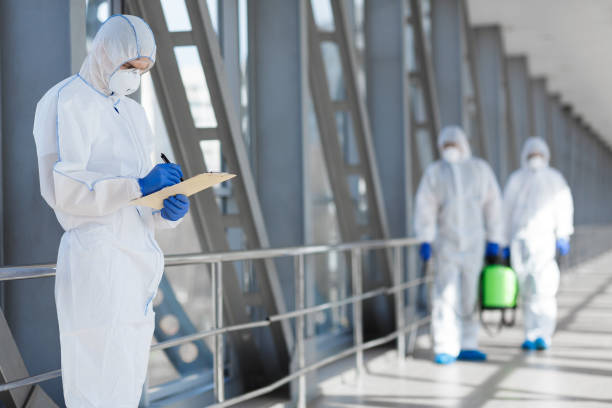 Best Mold Remediation for Healthcare Facilities  in Essex, MD