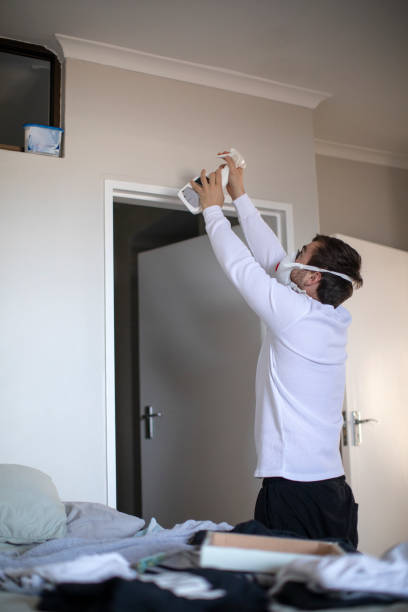 Best Black Mold Removal  in Essex, MD
