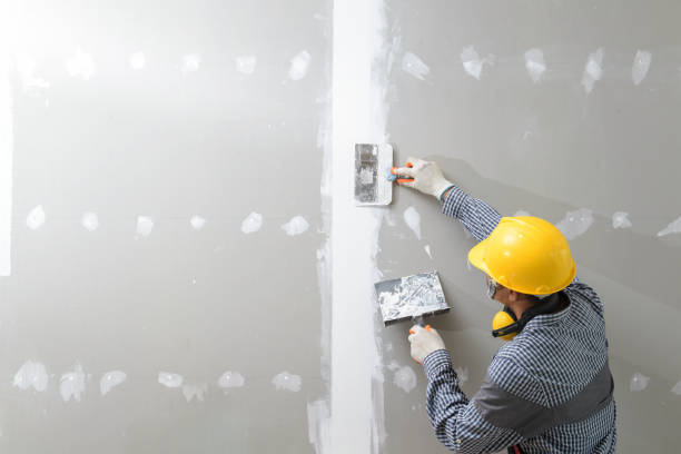 Best Mold-Related Health Consultation  in Essex, MD