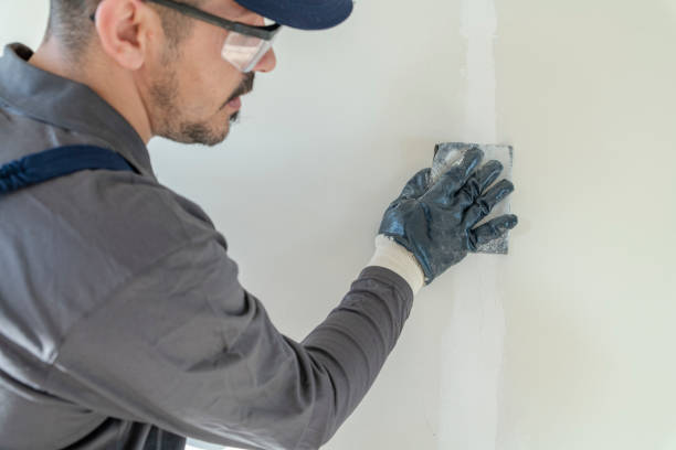 Best Mold Documentation for Insurance Claims  in Essex, MD