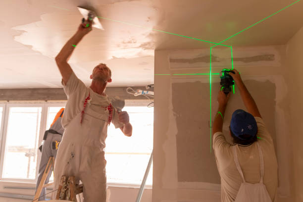 Best Emergency Mold Remediation  in Essex, MD