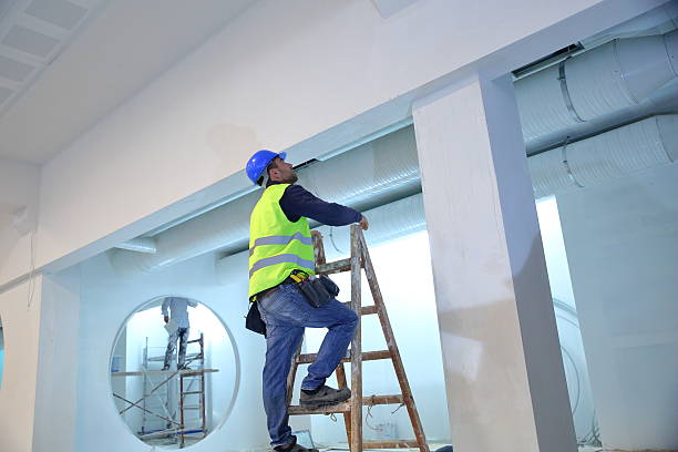 Best Mold Remediation for Healthcare Facilities  in Essex, MD
